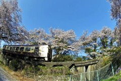 わ鐵の空