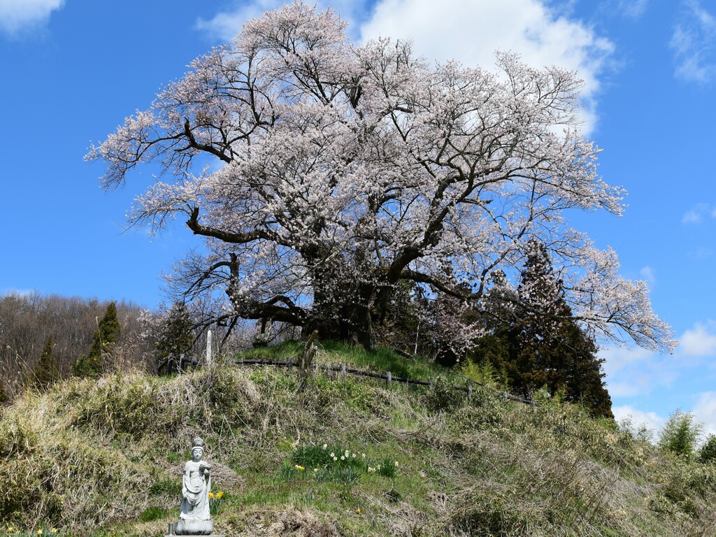 再会