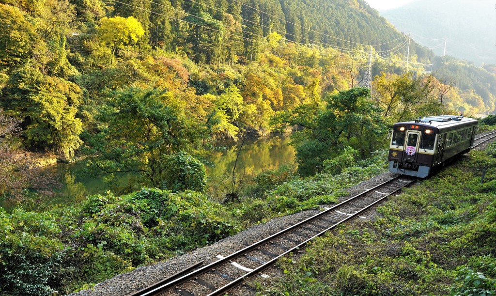 寄り添い