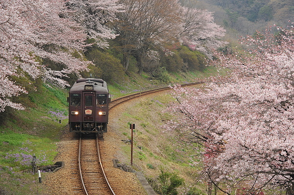 春の彩