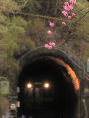春への出口