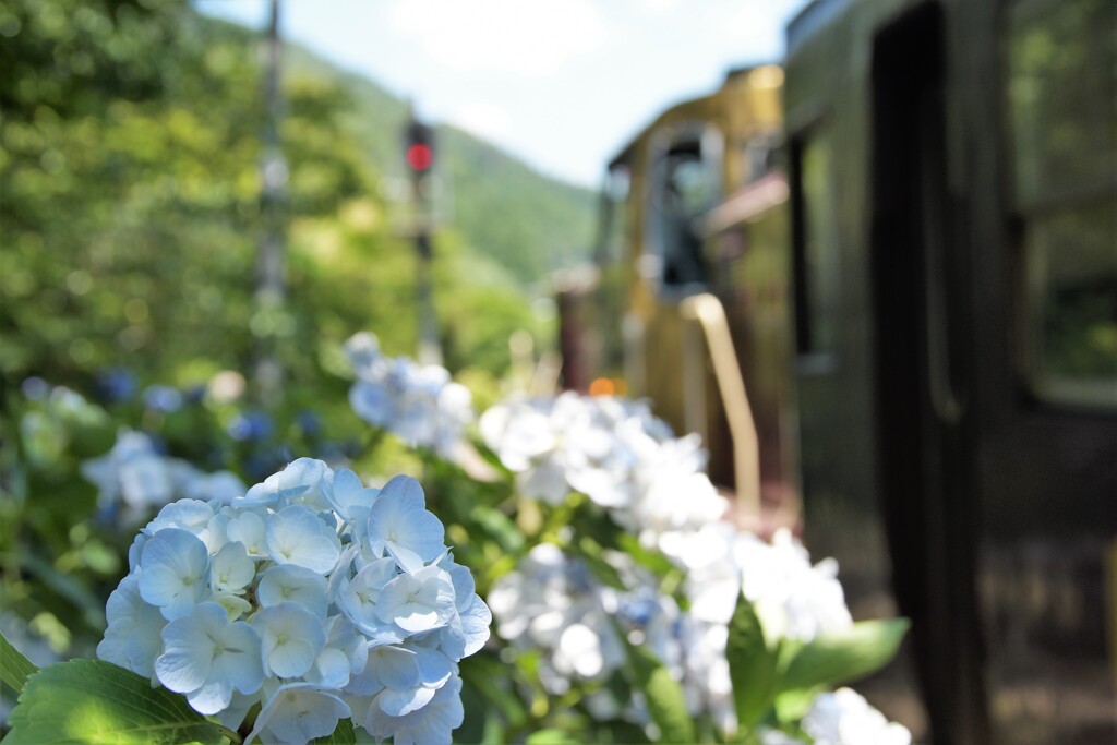 主役に花添えて