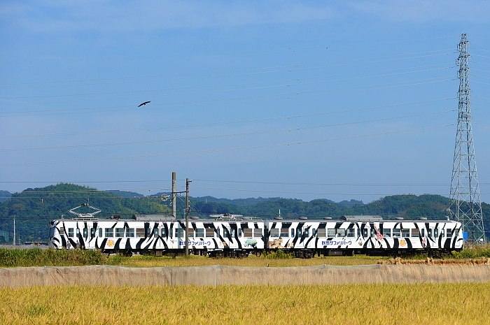 シマ列車
