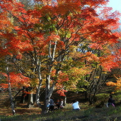 ひと集う処