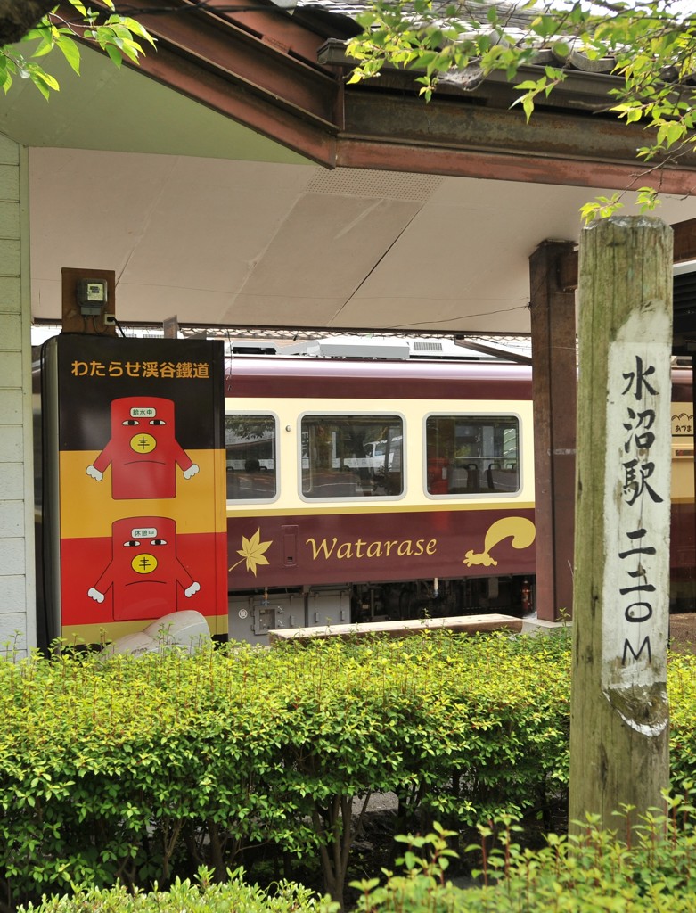 自販機わっしー