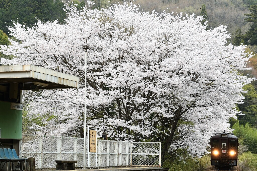 中野ステーション