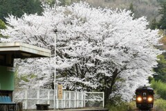 中野ステーション