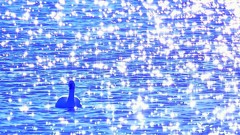 湖上のイルミ