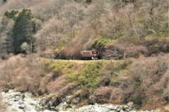 トロッコわっしー号