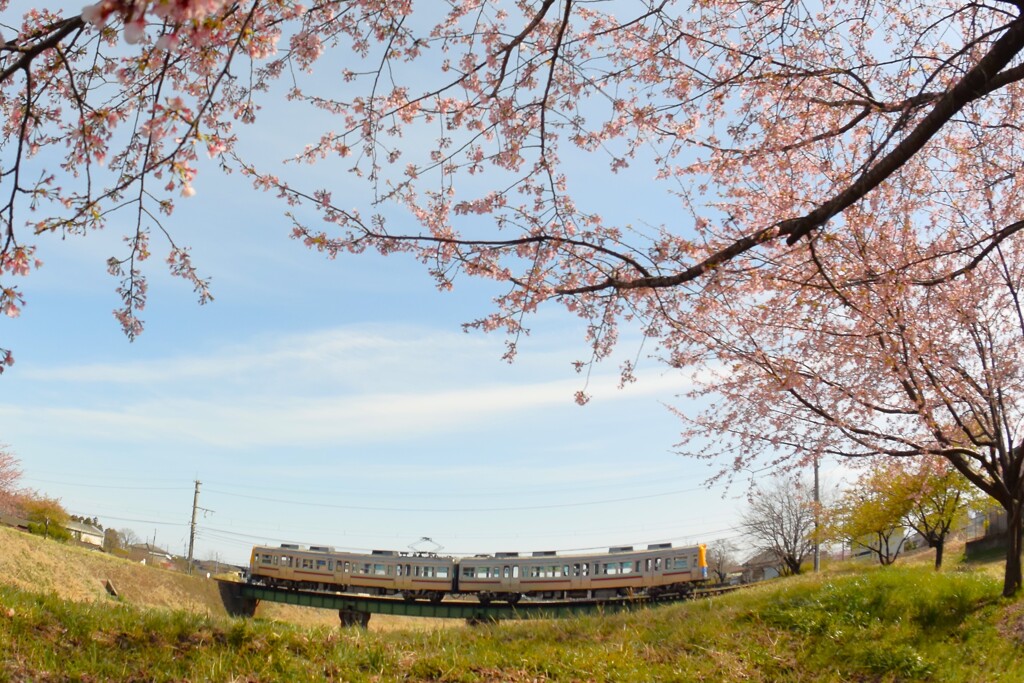 桜と雲と鉄道と