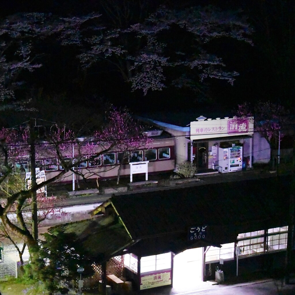 神戸駅 春の宴