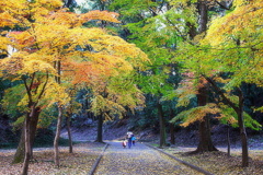 彩の道 