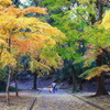 彩の道 