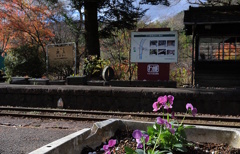 スローな旅