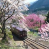 神戸の春
