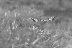 エヴァンゲリオン 発進！！