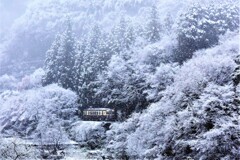 わ鐵沿線冬景色