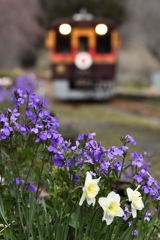 わっしー号に花束を