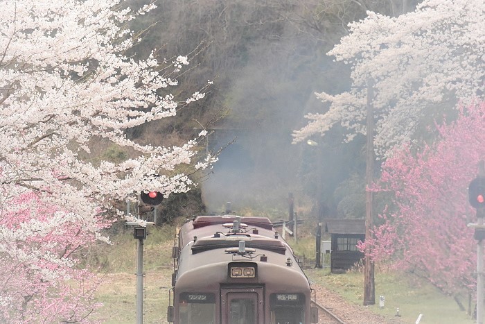 煙が染みる