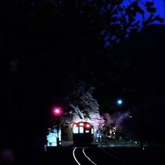 ホタル