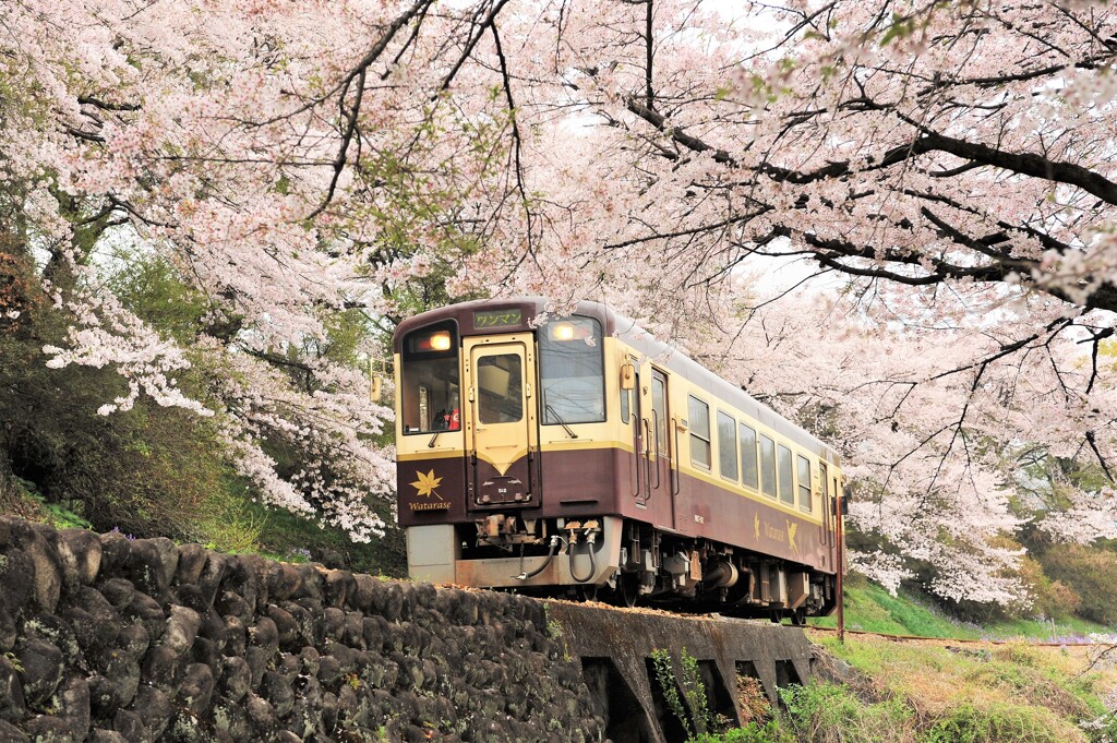 ワンマン