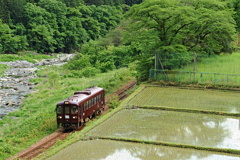 水田