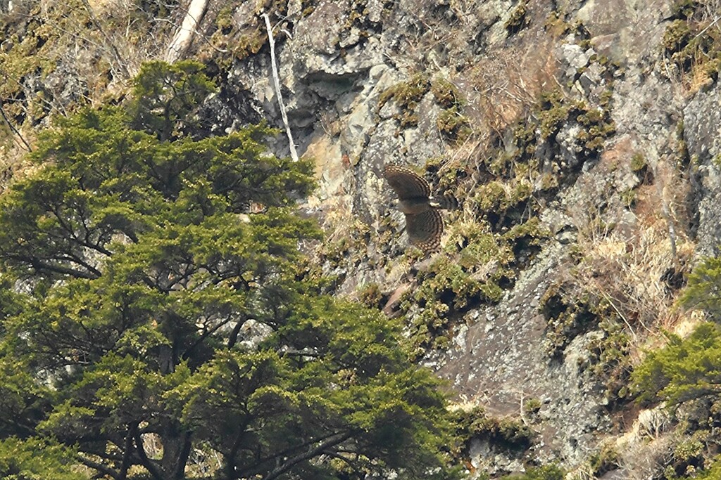 The guy around the rock