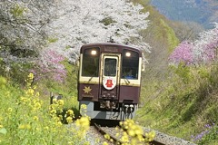 わてつ花の宴