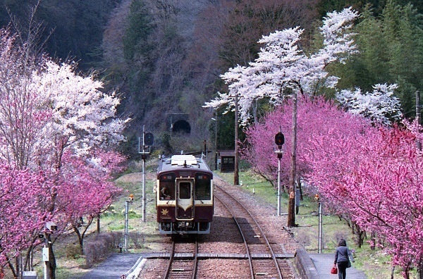 春の風