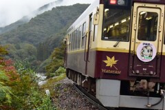 追っかけ