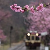 雨を見たかい