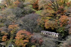 片の平渓谷を行く