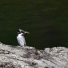 Boy on the rock