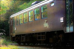 車窓の輝