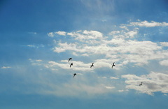 旅立ちの空