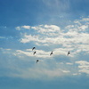 旅立ちの空