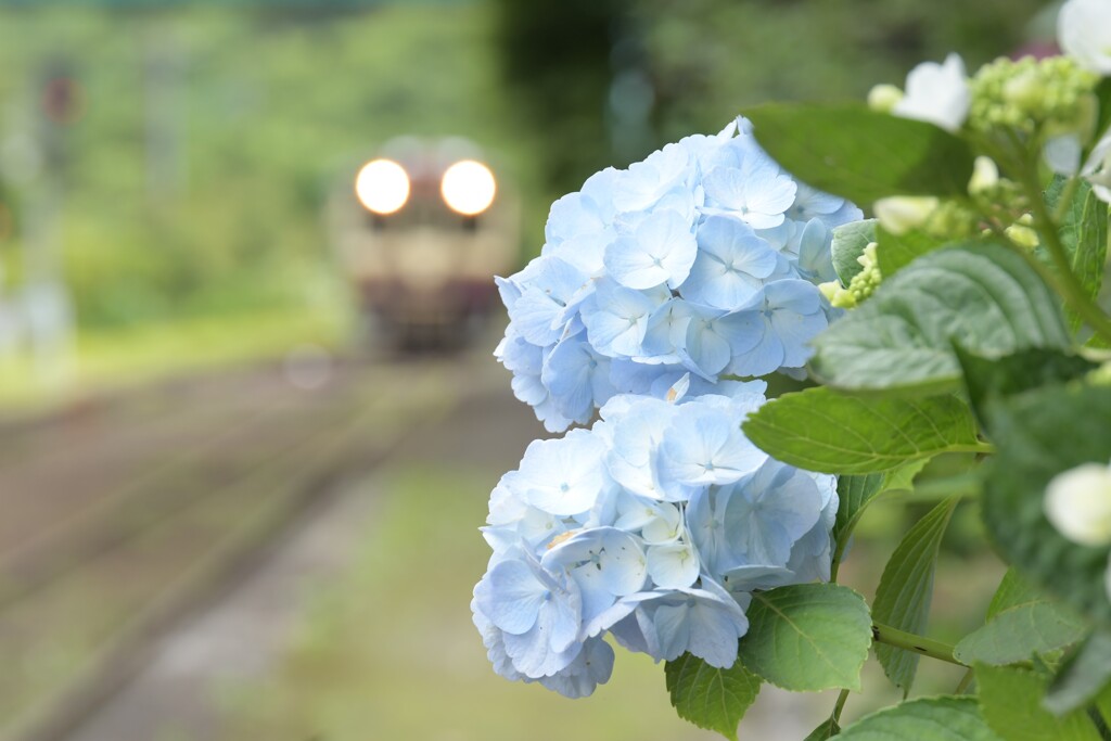 お出迎え