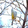 探し物は何ですか