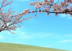 希望の丘