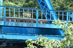 第二渡良瀬川橋梁