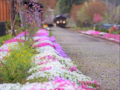 花の駅