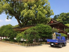 imageトラック