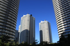 白い超高層住宅群に夏空が映える