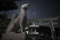 狐