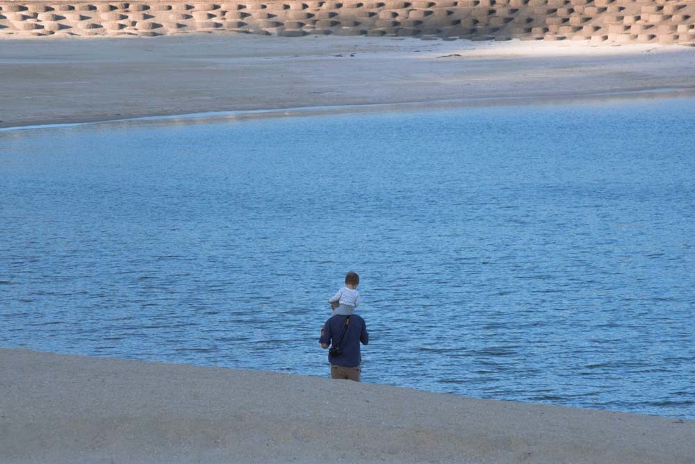砂浜の散歩