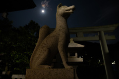 月と狐