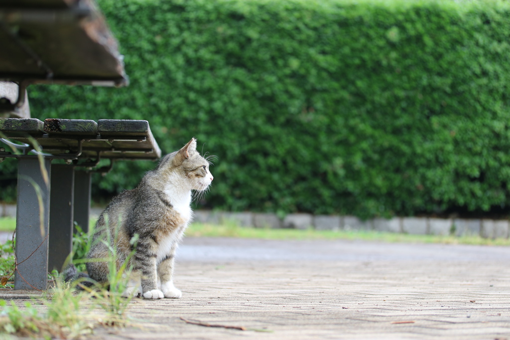 ん？何か来た？