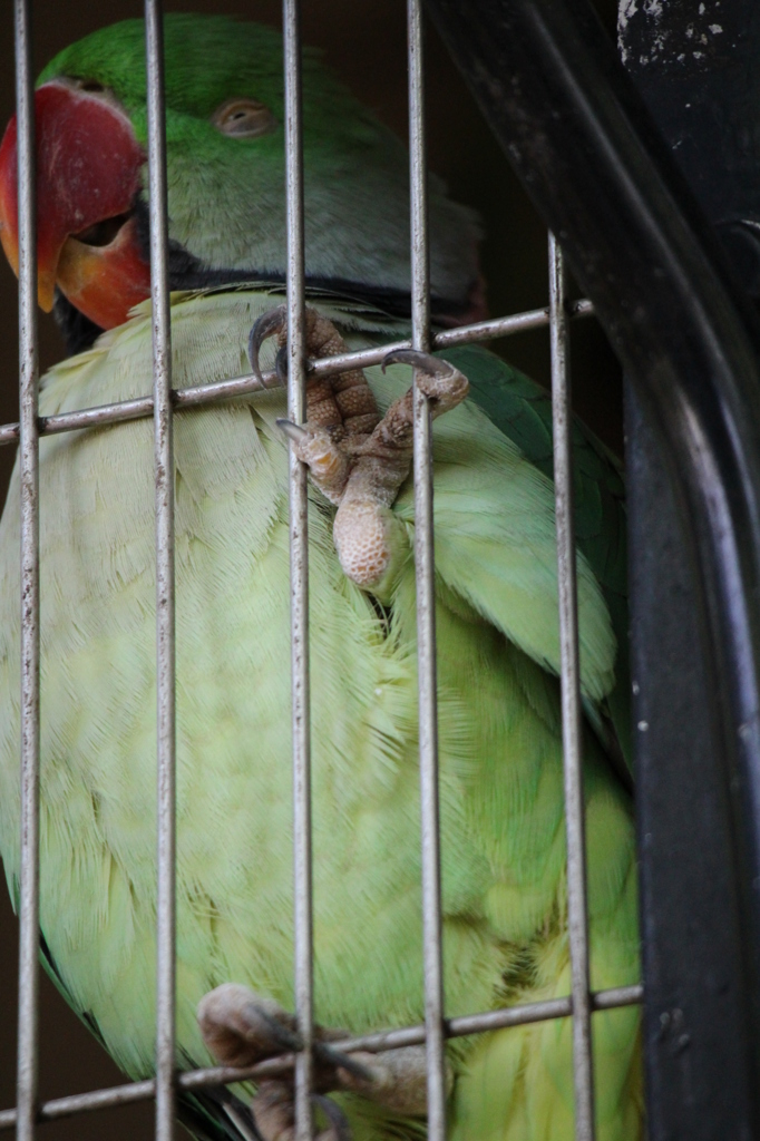 文句あんのか～