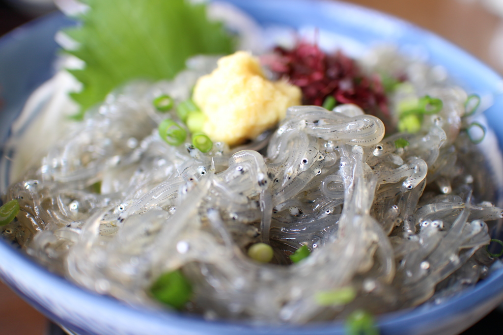 念願の生シラス丼