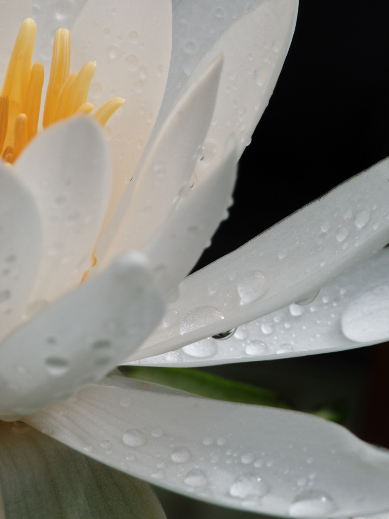 雨の日の